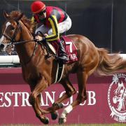 Orfevre is favourite for tomorrow's Arc (PA Wire)