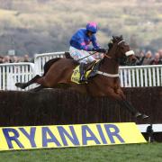 FLYING LEAP: Cue Card is spring-heeled on his way to victory in the Ryanair Chase (Pic: David Davies)