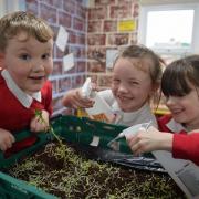 George Street Primary School of the week.  Jack Lloyd 7, Emma Farr 7 and Esmay Williams 7 watering the plants. www.christinsleyphotography.co.uk