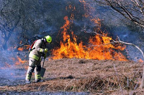 Gwent grass fires in Allt-yr-yn and Risca