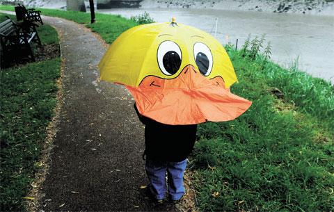 GOOD WEATHER FOR DUCKS: Young Dan Merrett shelters from the rain as he makes his way
along the river bank at Chepstow Picture:MIKE LEWIS ML_13069