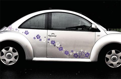 FLOWER POWER: This decorated car caught the eye when it was parked on Church Road, Newport
Picture: MIKE LEWIS