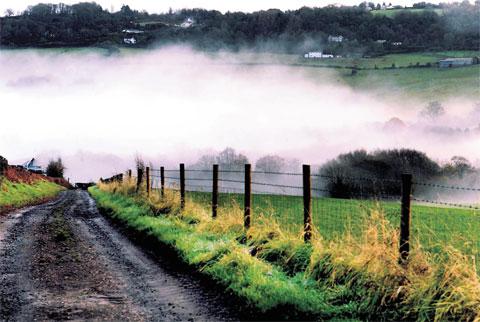 MORNING MIST: Early in the day on a rural road between Chepstow and Usk ML_13407
Picture: MIKE LEWIS