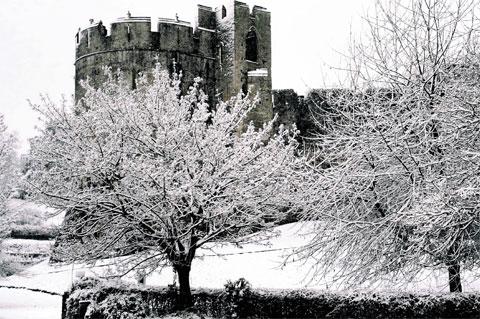 PICTURESQUE: A view of Chepstow Castle through the snow laden trees ML_13523 Picture: MIKE LEWIS