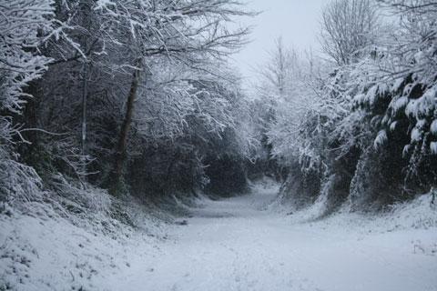 Lucy Cox took this snap of The Old Church Road in Caldicot.