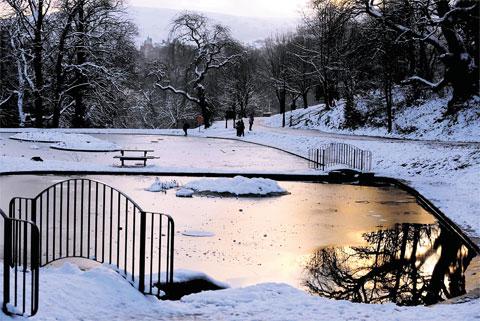 LOW LIGHT: A chilly Pontypool Park despite the winter sun ML_13529 Picture: MIKE LEWIS