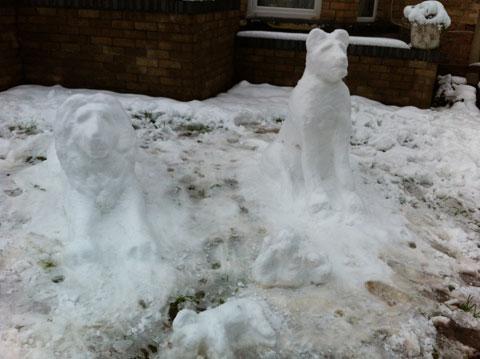 Here are my snow animals, including a lion family, a dolphin and a penguin. From Daniel Griffiths of Newport
