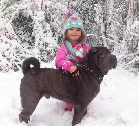 Ava Williams enjoying the snow with her 'big brother' from Jonathan Williams
