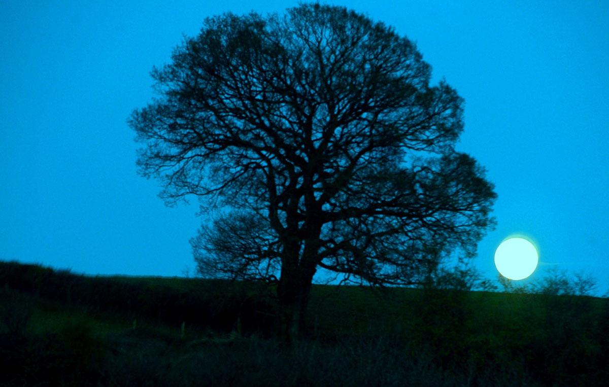 @southwalesargus PIC OF THE DAY: Full moon on the horizon, seen from the Usk to Chepstow road Pic: MIKE LEWIS