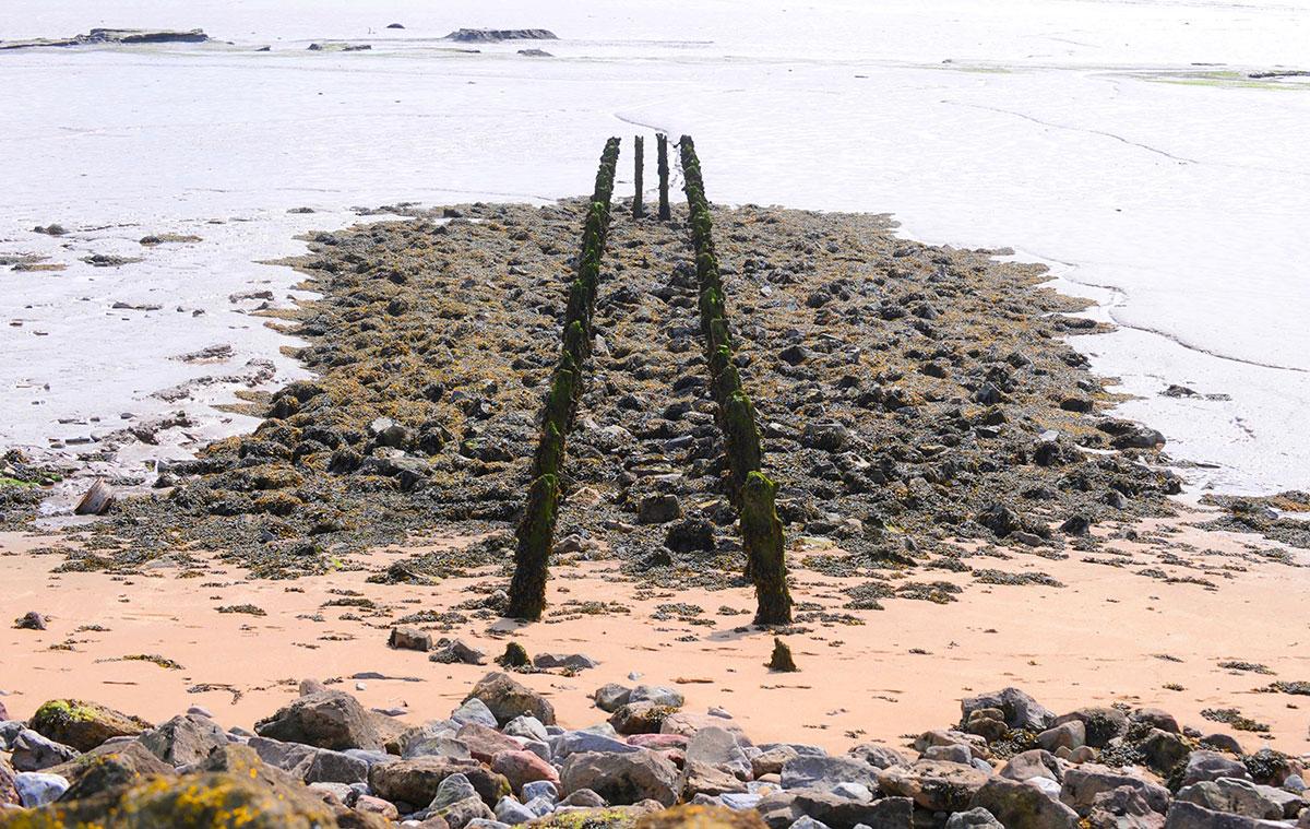 @southwalesargus PIC OF THE DAY: Remains of wooden pier on Severn Estuary at St Brides Wentlooge Pic: CHRIS TINSLEY