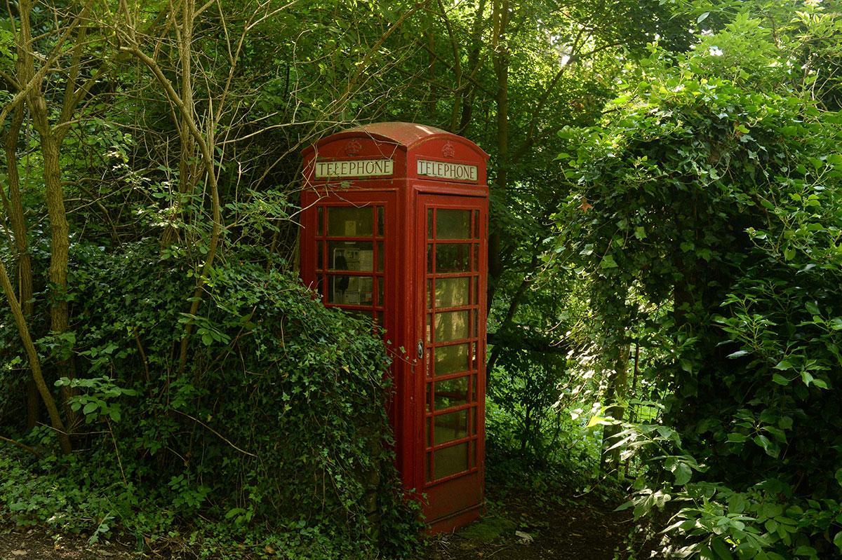 QUIET CALLER: A phone box amid undergrowth in Llanthony Picture: MICHAEL EDEN