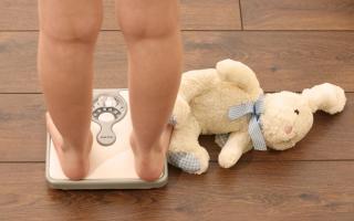 A total of around 12 per cent of children across Wales are obese