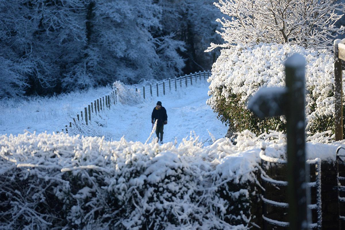 A lone walker out for a morning stroll in Penygarn. Pic: Michael Eden
