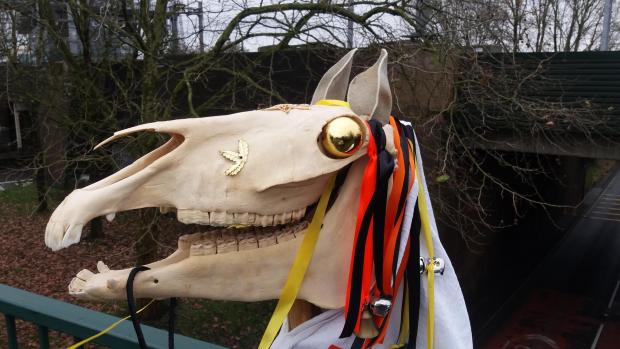 South Wales Argus: Cassie, the Newport Mari Lwyd. Picture: Richard Atkin