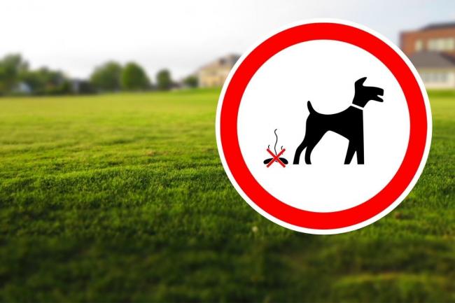 Penalising owners for breaking dog fouling rules is proving difficult. Picture (background): Pexels