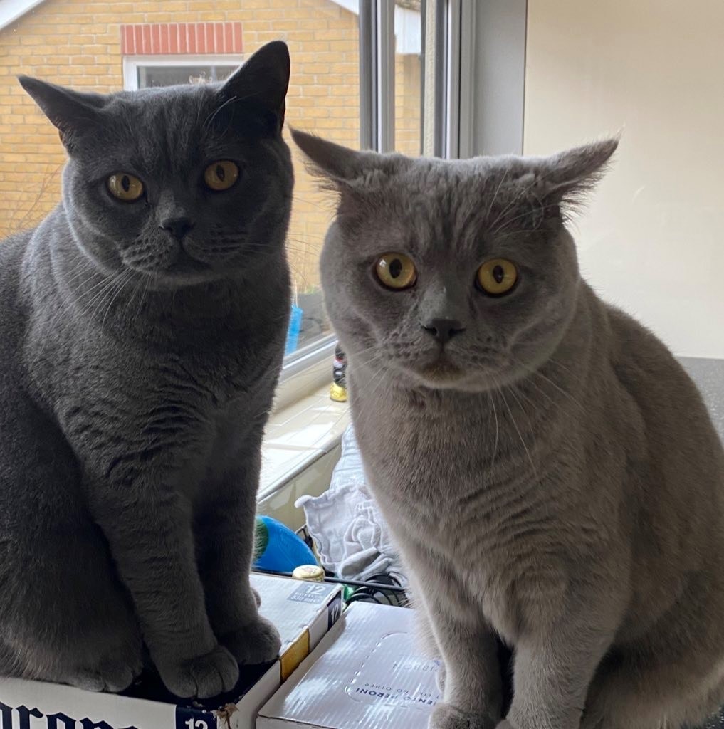 Chester (R) and Jeff (L)