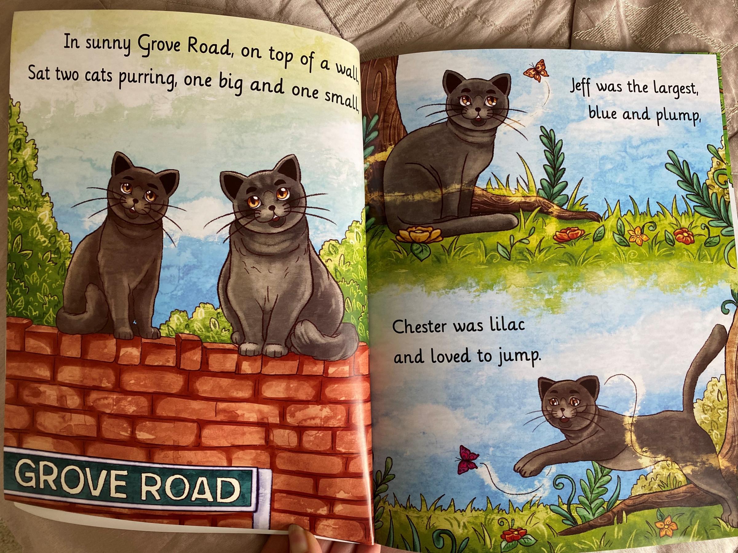 The book was illustrated by Mariia Luzina