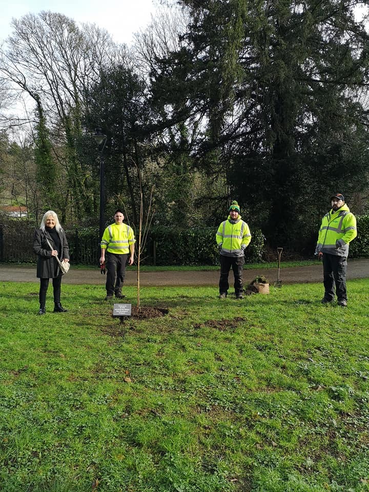 Cllr Gaynor James and Torfaen Neighbourhood Services planting the lime tree in Pontypool Park. Picture: Gaynor James.
