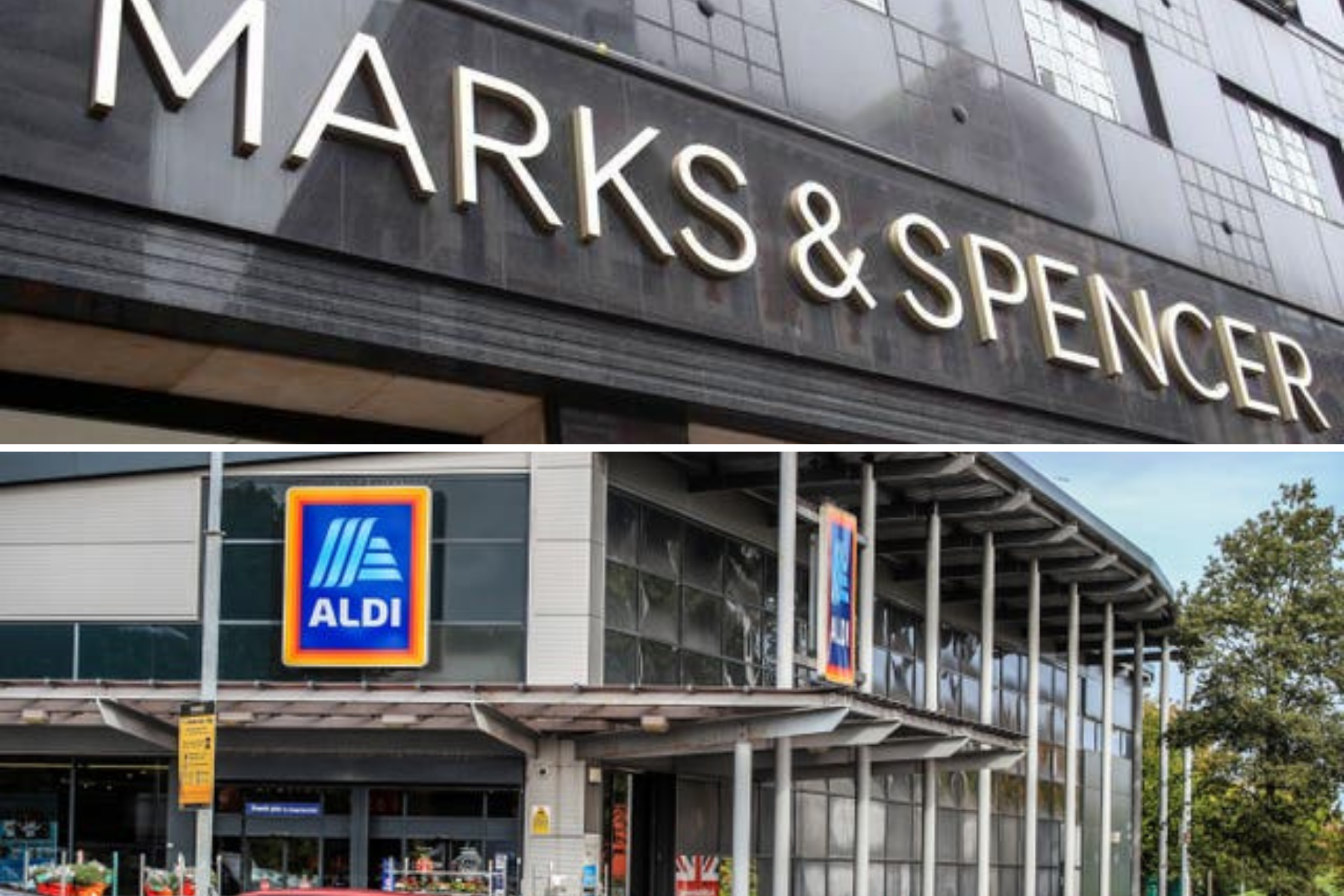 Aldi take swipe at M&S in Colin the Caterpillar row - Vimarsana News