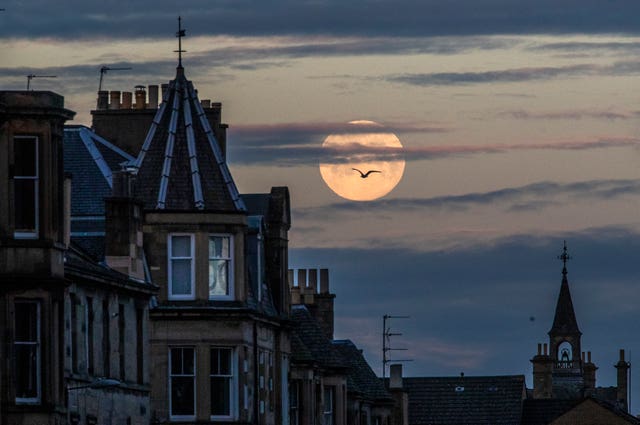 How to see this month's pink supermoon, the biggest of 2021 - Vimarsana News