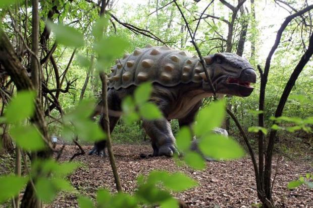 South Wales Argus: South Wales' own Jurassic Park is set to open its doors to the public this summer