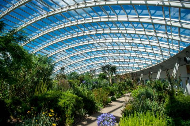 South Wales Argus: Lord Foster's Great Greenhouse Photo: Tim Jones Photography