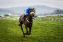QUALITY: Present Value, seen winning at Chepstow last season, could run in Friday’s novice chase