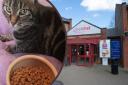 Butters the cat was left behind at Magor services on the M4