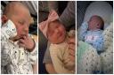 Five new arrivals to welcome to the world