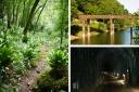 Walks with pubs in Monmouthshire