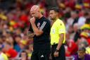 PRESSURE: Wales boss Rob Page is feeling the heat after a double defeat