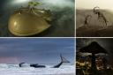 Numerous stunning photos of nature were selected among the winning images (Additional image credit: PA Wire)