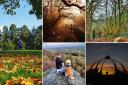 Check out these great places for an autumn walk