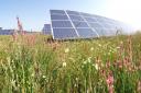 Craig Y Perthi, proposed solar farm to be ‘wildlife haven’