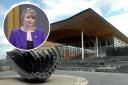 Plaid Cymru’s Delyth Jewell led a Senedd debate  on health in south east Wales