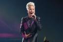 Pink will be performing at Cardiff's Principality Stadium on June 11, 2024.