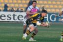 TALENT: Harri Ackerman in action for the Dragons against Zebre Parma