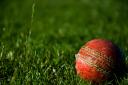 Ammanford Cricket Club defeated Neath by nine runs to go 16 points clear of the danger zone.