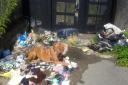 ABANDONED: The Dogue de Bordeaux was found near piles of rubbish by distressed residents on Capel Crescent in Pill on Saturday morning.
