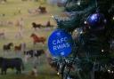 The 2019 Royal Welsh Winter Fair was the last event held on the showground