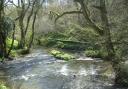 Woodlands for Water Picture: Natural England
