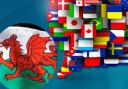 None of the world's top 50 apps support the Welsh language. Source: Preply