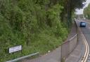 Cwmbran Drive is one of six areas where Torfaen council is to remove ash trees. Picture: Google Street View