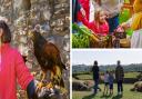 Cadw events on offer across Gwent