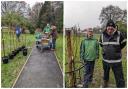 Cherry trees have been planted at Pontnewydd Park. Picture: Friends of Pontnewydd Park/Cwmbran Life
