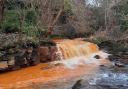 A river in Torfaen was running 'rust-orange' over the weekend