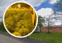 Police have uncovered a 'significant' cannabis cultivation at an industrial estate in Rhymney