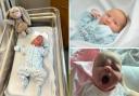 Three new cuties to welcome to the world