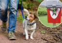 Dogs could be banned from some parks in one area of Gwent and their owners required to carry a bag for their poo.