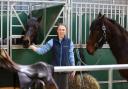 Ania Wyn Parry has said the clinics have been helpful to both vets and horse owners